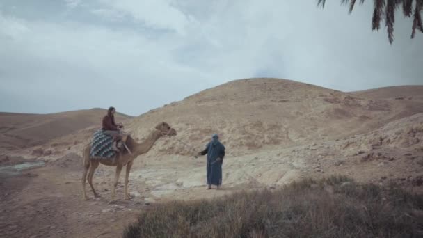 Femme Sur Haut Camel Dans Desert Avec Une Vue Élevante — Video