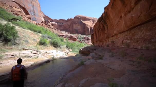 Hikers Outdoors Large Desert Grand Canyon Stream Pan Left Right — Stock video