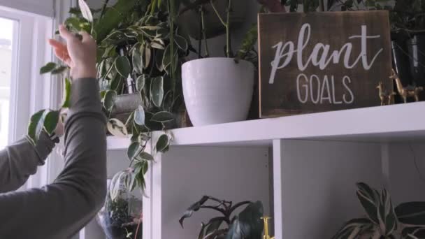 Mujer Interactuando Con Sus Plantas Elegante Decoración Interior — Vídeo de stock