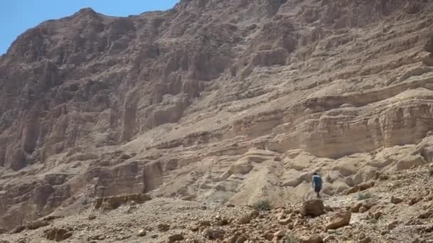 Aventurero Turista Senderismo Montañas Áridas Mitzpe Ramón Desierto Israel Tiro — Vídeo de stock
