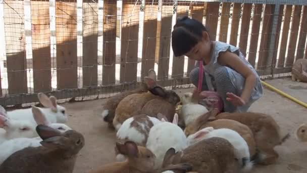 Asiatisches Kleines Mädchen Füttert Kaninchen Mit Gemüse Auf Dem Bauernhof — Stockvideo