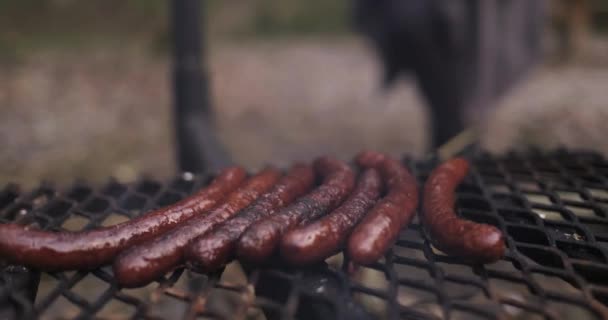 Primer Plano Salchichas Cocinando Fuego Campamento Aire Libre — Vídeos de Stock