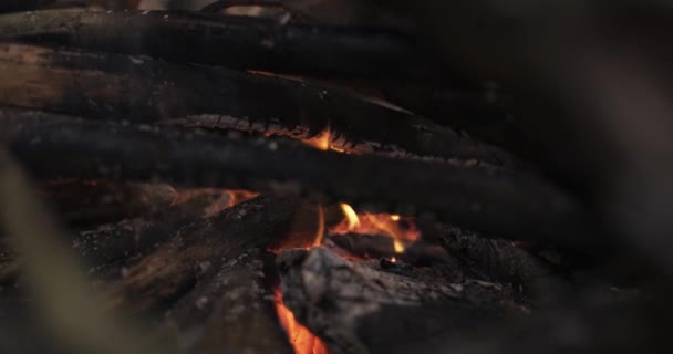 Closeup Of A Camp Fire, Flames Glowing  Burnt Branches.