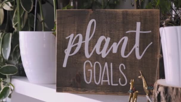 Foto Deslizante Decoración Interior Acogedora Con Estilo Las Plantas Los — Vídeo de stock