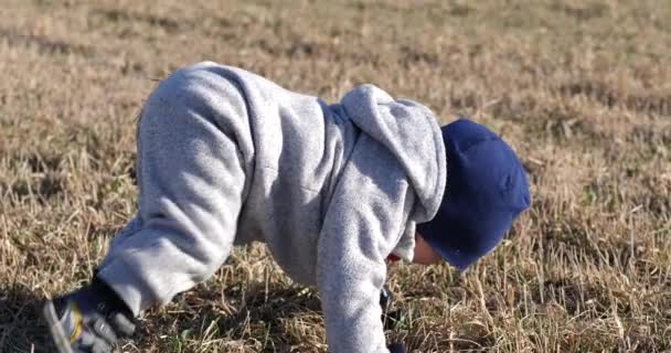 귀엽게 아이가 들판에서 일어나기 정신을 집중하다가 엉덩이에 기대어 떨어진다 — 비디오