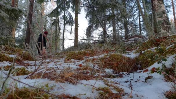 Großvater Und Enkelin Winterwald Mit Schneeschlitten — Stockvideo