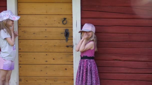 Søstre Spiller Tricks Piger Trækker Drengestreger Idyllisk Svensk Sommermiljø – Stock-video