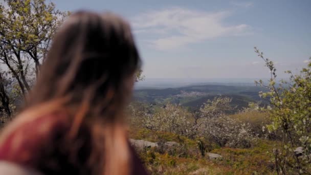 Vue Arrière Jolie Fille Profitant Belle Vue Sur Paysage Large — Video