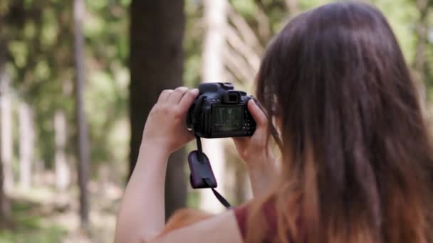 Close Tiro Traseiro Mulher Bonita Tirar Fotos Floresta Durante Dia — Vídeo de Stock