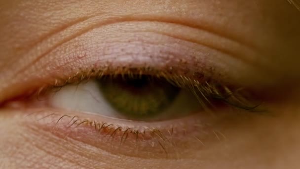 Green Human Eye - Macro close up Woman - shot on Cinema 4K Camera