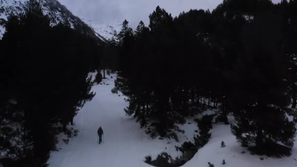 スペインのピレネー山脈の雪の森の中を歩く男のドローンショット 台座の動きは雲と霧に囲まれた強大な雪の山を明らかにします — ストック動画