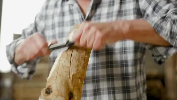 Trabajador Madera Planea Pieza Trabajo Cruda Pone Forma Carpintero Utiliza — Vídeo de stock