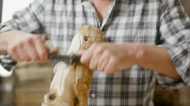 Carpenter Utiliza Plano Dos Manos Para Planear Una Pieza Madera — Vídeo de stock