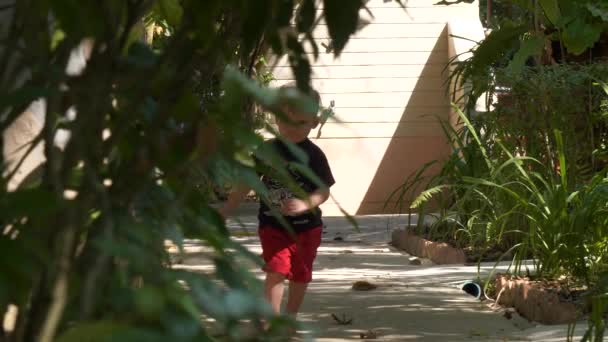 Pequeño Niño Corriendo Paseo Lateral Cayendo Llorando — Vídeo de stock