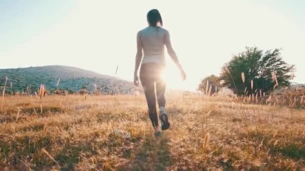 Vahşi Buğday Tarlasında Yürüyen Bir Kız — Stok video