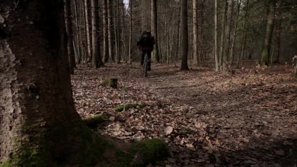 Cykla Bort Från Kameran Skogen Vintern Med Ryggsäck — Stockvideo