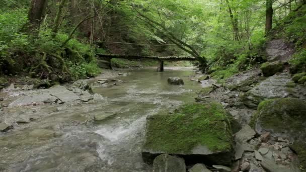 Человек Идет Деревянному Мосту Лесу Пока Река Течет Переднем Плане — стоковое видео
