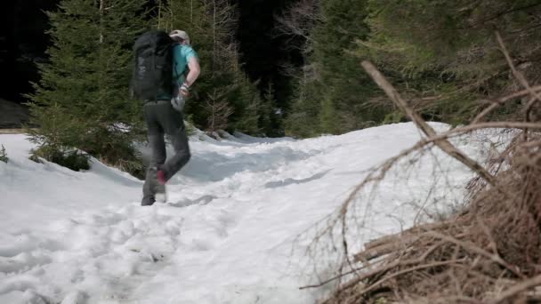 Marcher Sur Sentier Randonnée Couvert Neige Épaisse Homme Randonnée Dans — Video