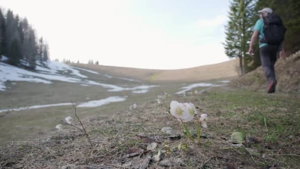 Caminhando Até Topo Cume Com Planícies Verdes Planas Entre Slovenia — Vídeo de Stock