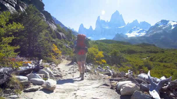 アルゼンチンのパタゴニアのトレイルをバックパックで歩く若い女性 グラシアレス国立公園のフィッツ ロイを散策しましょう ハイキングのコンセプト — ストック動画