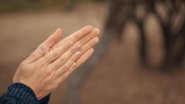 Viene Invierno Calentando Las Manos Frías Frío — Vídeos de Stock