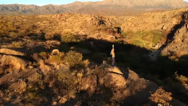 岩の上の精神的な女性のバランス 日没の熟考でヨガの木のポーズ ドローンの空中ショット — ストック動画