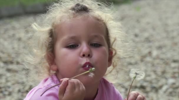 Блондинка Дующая Одуванчиками Медленный Выстрел — стоковое видео