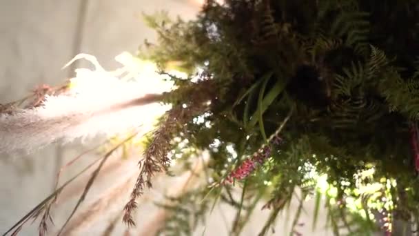 Lens Işığıyla Düğün Çiçekleri — Stok video