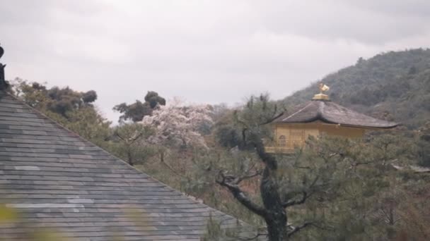 Rooftop Golden Temple Kyoto Japan — Stock Video