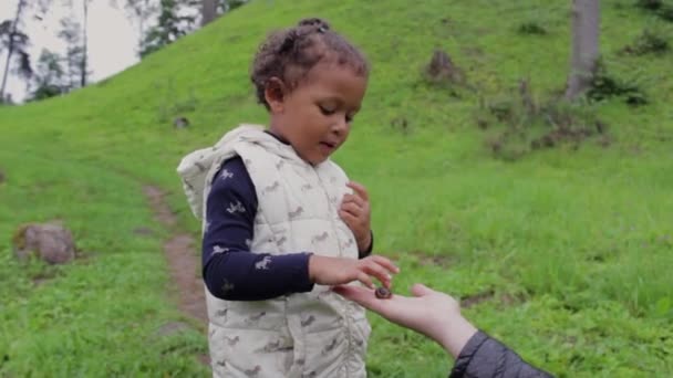 Overwhelmed Little Black Girl Touching Snail First Time — Stock Video