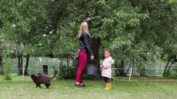 Gemischte Rassenfamilienkulisse Garten Mutter Pflückt Birne Vom Baum Während Die — Stockvideo