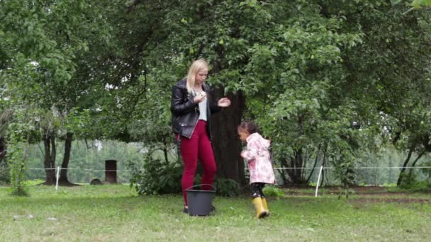 美しい小さなアフリカの女の子と若い白い母は庭の木からおいしい梨を楽しんでいます — ストック動画