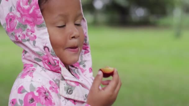 Крупный План Милый Африканский Ребенок Наслаждаясь Вкусные Фрукты Парке Статические — стоковое видео