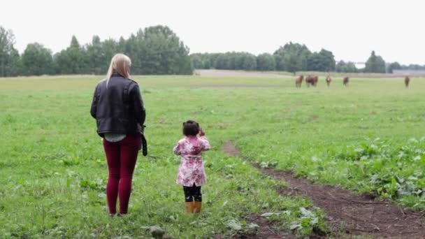 アフリカの女の子興奮によって賞賛馬でフィールドにヨーロッパのブロンドの母 かわいい家族の瞬間 母と娘の関係 — ストック動画