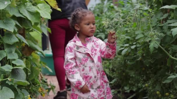 Nyfiken Liten Afrikansk Flicka Bär Rosa Blommig Regnrock Utforskar Trädgården — Stockvideo