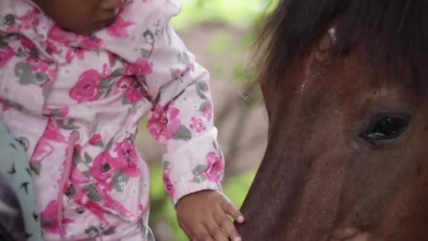 Oprimida Menina Negra Acariciando Cavalo Pela Primeira Vez — Vídeo de Stock