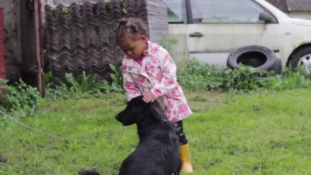 Adorable Little African Girl Zwierzęta Jej Piękny Puszysty Pies Ogrodzie — Wideo stockowe