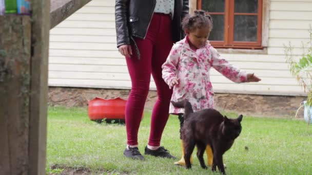 優しい社会的な猫の結合とともに小さな黒の女の子 — ストック動画