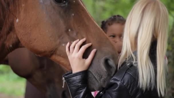 Amor Eterno Por Cavalos Ligação Com Mãe Filho Closeup — Vídeo de Stock