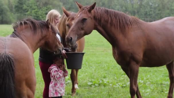 Mama Uczy Swoje Dziecko Współczucia Dla Zwierząt — Wideo stockowe