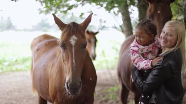 Momento Afetuoso Emocionante Menina Tocando Cavalos — Vídeo de Stock