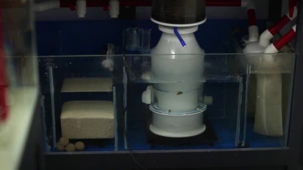 Industriële Power Aquarium Tank Reinigen Verplaatsen Van Opbouw Vreemde Voorwerpen — Stockvideo