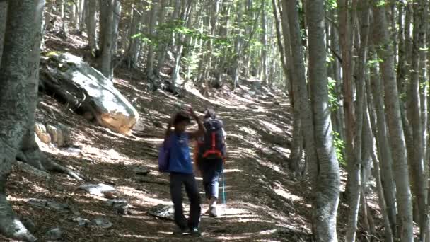 Los Turistas Escalan Sendero Forestal Italia Rural Día Soleado Cammino — Vídeos de Stock