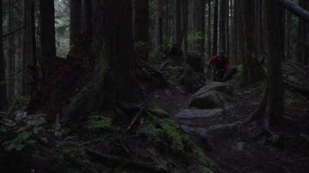 春の雨の日に太平洋岸北西部の森を巡航する3人の壮大なマウンテンバイク — ストック動画