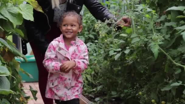 Pura Emoción Arrancar Verduras Con Mamá — Vídeo de stock