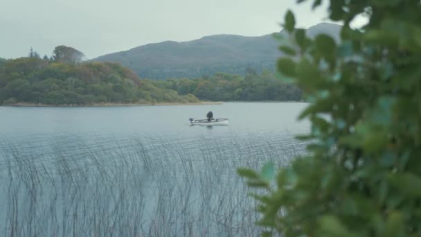 Fisherman Fishing Lake Boat Anchored Bay Reeds — Stock Video