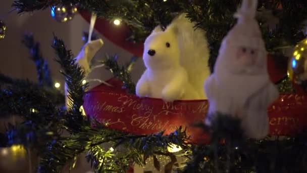 Weihnachtsbaum Ein Weißes Eichhörnchen Wird Von Schönen Weihnachtslichtern Baum Beleuchtet — Stockvideo