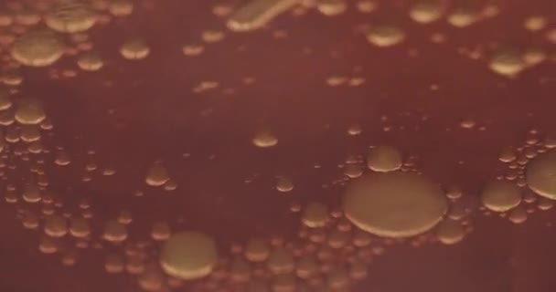 Lot Small Air Bubbles Floating Surface Viscous Amber Liquid Bubbles — Stock Video