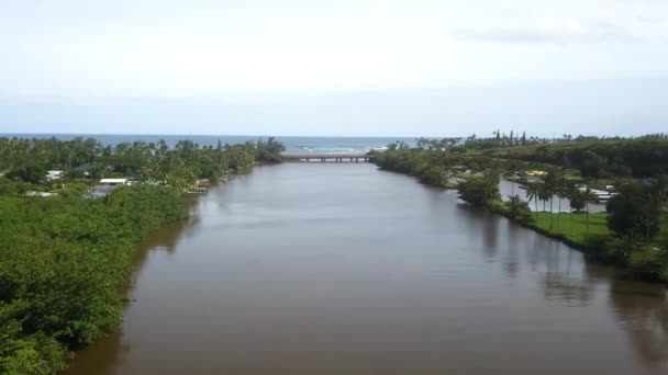 Luftaufnahme Entlang Des Flusses Anflug Auf Mündung Und Meer Kauai — Stockvideo