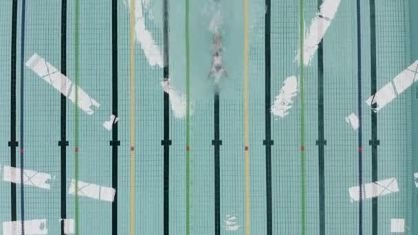 Une Vue Dessus Sportif Nageant Dans Une Piscine Olympienne — Video